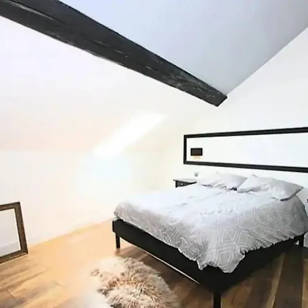 Grand Confort Spacious Appart Station 6pers Apartment Nancy
